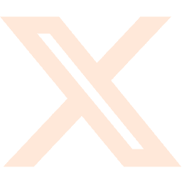 X/ Twitter